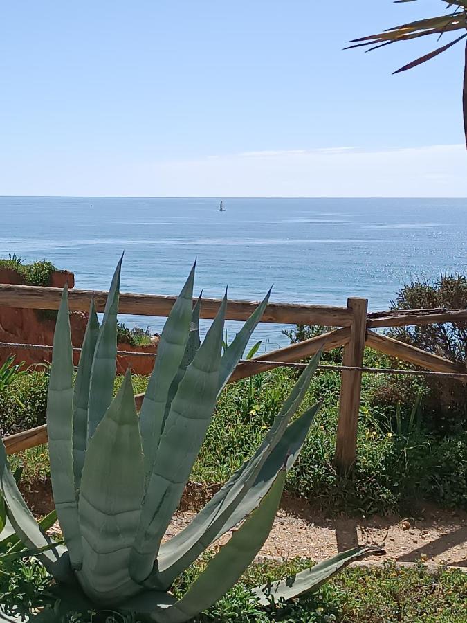 Mar A Vista Algarve Summer بورتيماو المظهر الخارجي الصورة